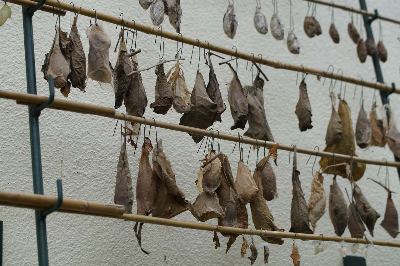 Lepkefarmok