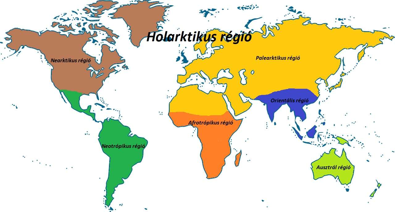 Az állatföldrajzi régiók